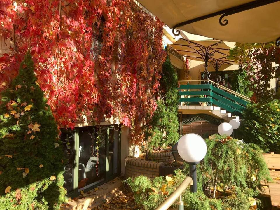 Kompleks Hotelowy Logos Августув Экстерьер фото